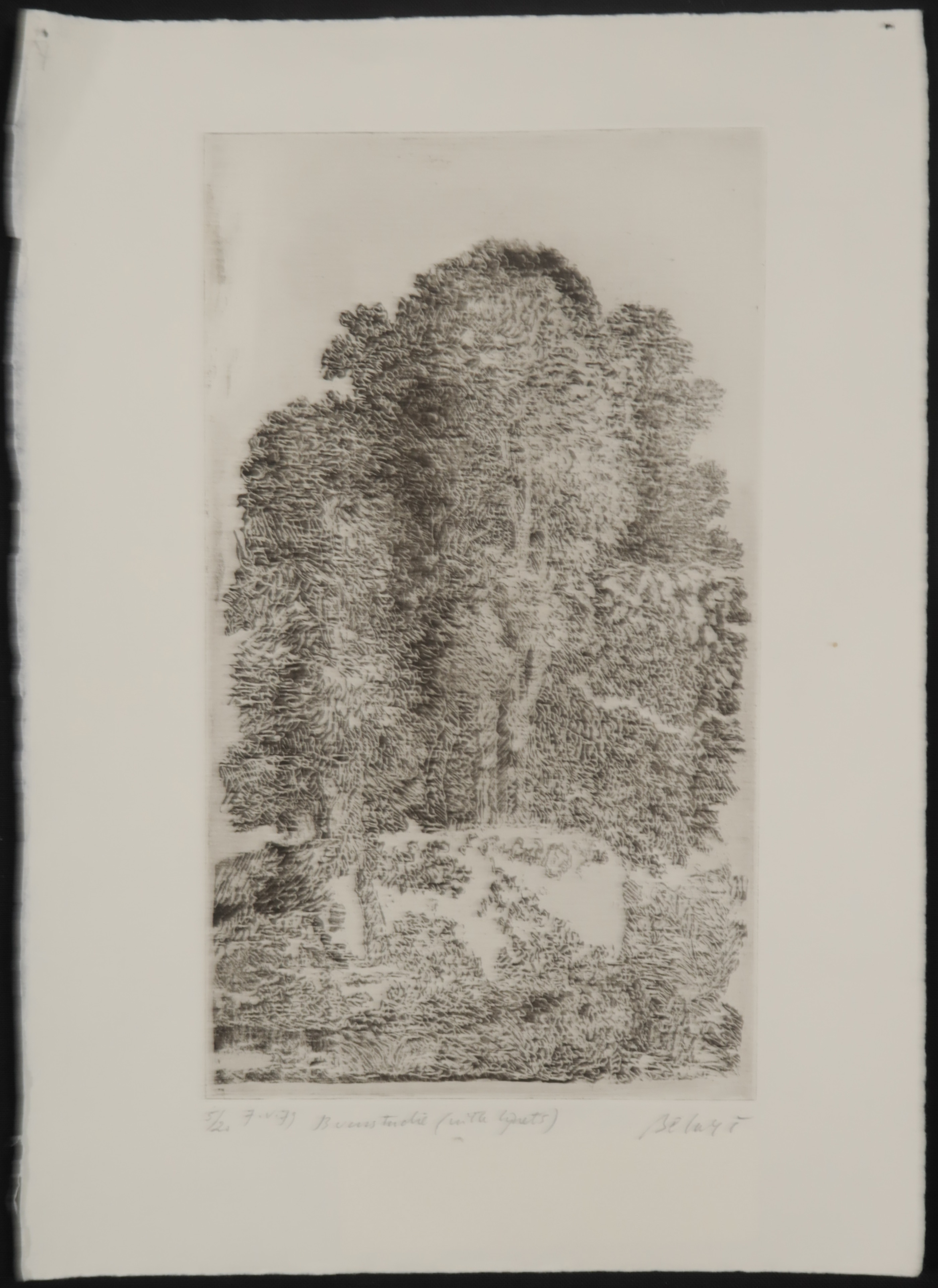 Gerard Bellaart - Lotje (B) met 5 etsen op papier kopen? Bied vanaf 1!