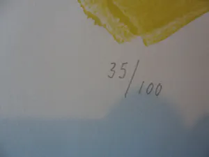 Frank Boom - Litho, Landschap in Limburg, gesigneerd kopen? Bied vanaf 25!