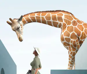 Mr Strange - The Explorer kopen? Bied vanaf 80!