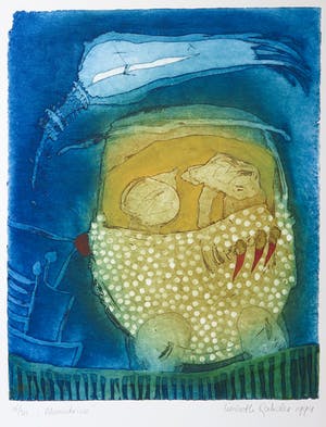 Liesbeth Rahder - Kleurenets, Moondrive kopen? Bied vanaf 50!