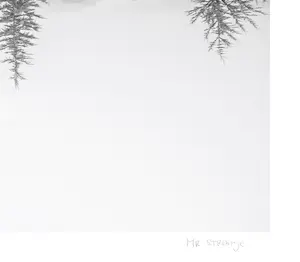 Mr. Strange - Ga Maria! kopen? Bied vanaf 80!