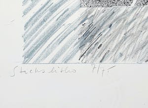 Marijke Verhoef - Litho:'Sticks' kopen? Bied vanaf 1!