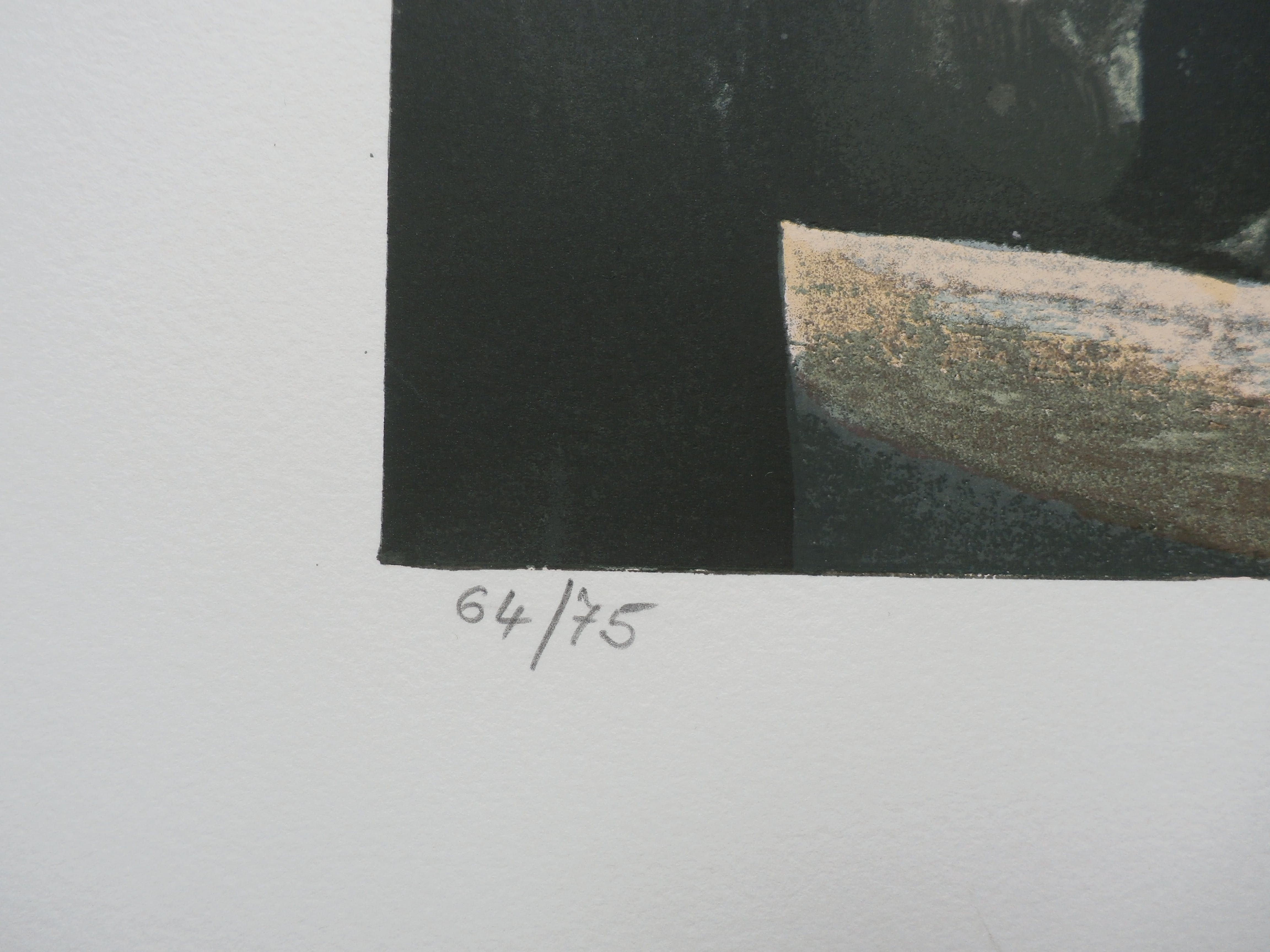Carel Willink - litho: evenwicht der krachten - 1979 kopen? Bied vanaf 850!