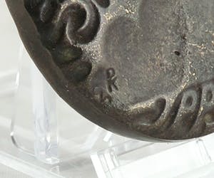 Christina Nijland - Bronzen penning, Linnaeus kopen? Bied vanaf 35!