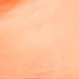 Lucienne van Eeden - Transitie kopen? Bied vanaf 35!