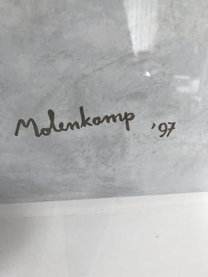 Nico Molenkamp - Vogel kopen? Bied vanaf 140!