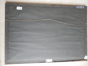 Willem Steelink (jr.) - schaapskudde naar de schaapskooi kopen? Bied vanaf 200!