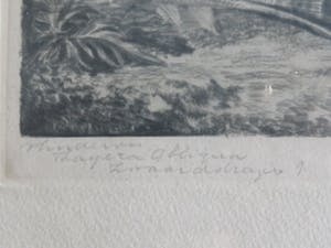 Frans IJserinkhuijsen - Tropische vissen kopen? Bied vanaf 1!