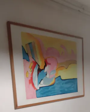 Ton van Kesteren - Mooie grote zeefdruk + boek kopen? Bied vanaf 60!