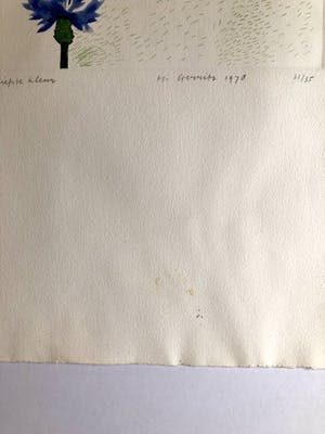 Harrie Gerritz - Mijn liefste kleur - Kleurets kopen? Bied vanaf 55!