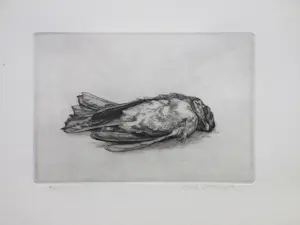 AcheterDick Stolwijk - Dood vogeltje - Ets? Enchérissez de 55!