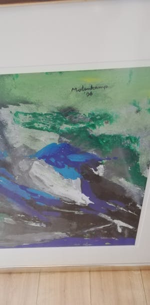 Nico Molenkamp - Blauw vogel kopen? Bied vanaf 200!