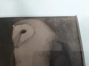 Jan Mankes - Originele Heliogravure Uil op Boomtak 1923 kopen? Bied vanaf 120!