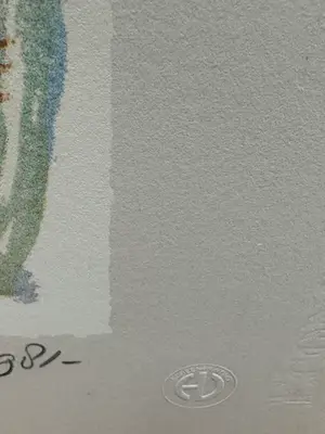 Nic Jonk - Prachtig mooie zeefdruk kopen? Bied vanaf 60!