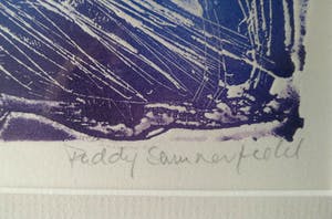 Paddy Summerfield - Onbekend kopen? Bied vanaf 25!