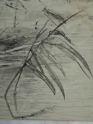 Theo van Hoytema - Litho, Drijvend nest van een dodaars, Texel - 1913 kopen? Bied vanaf 10!