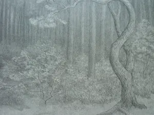 Simon Moulijn - BOSCHGEZICHT kopen? Bied vanaf 30!