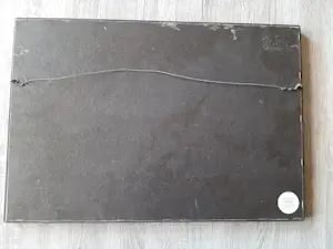 Jaap Lindeijer - Ets, Rotterdam, Molen a/d Kralingscheplas. kopen? Bied vanaf 35!