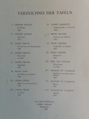 Henri Matisse - Die Fauves (Matisse en anderen) kopen? Bied vanaf 50!