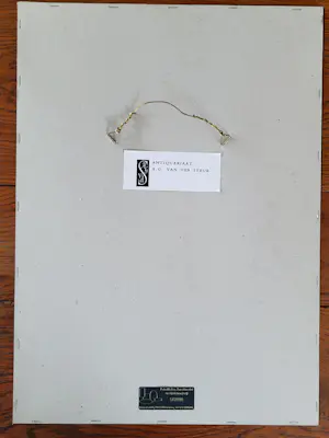 Buy Cornelis van Noorde - 3 afbeeldingen omgeving Haarlem.? Bid from 49!