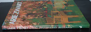 Arie Zwart - monografie hardcover kopen? Bied vanaf 40!