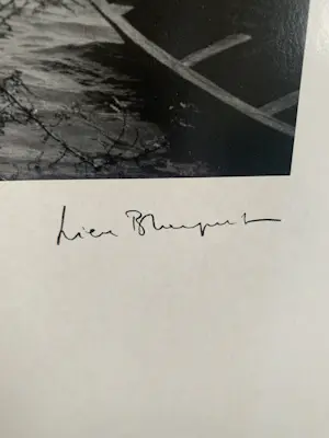 Lieve Blancquaert - Zonder titel kopen? Bied vanaf 25!