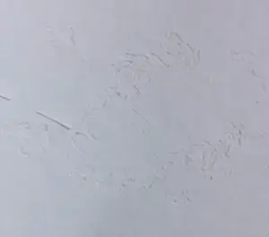 Aart Roos - Krijttekening, Kind in box kopen? Bied vanaf 1!