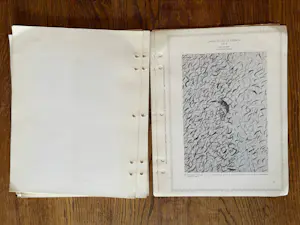 Various Artists Books - Artists' Stamps and Stamp Images - Jas. W Felter, Donald Evans, Fluxus Mail Art kopen? Bied vanaf 50!