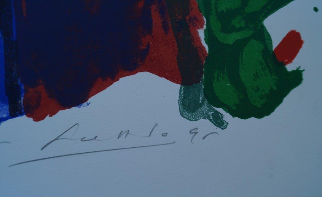 John Lie a Fo - John Lie a Fo - gesigneerde zeefdruk - Vogelman kopen? Bied vanaf 30!