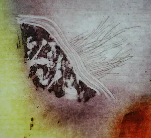 Ad Arma - Traveling light I kopen? Bied vanaf 15!