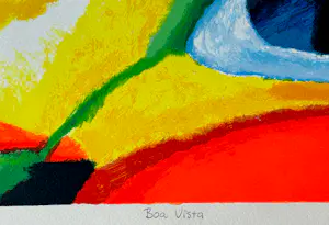 Saskia Bremer - Boa Vista kopen? Bied vanaf 45!