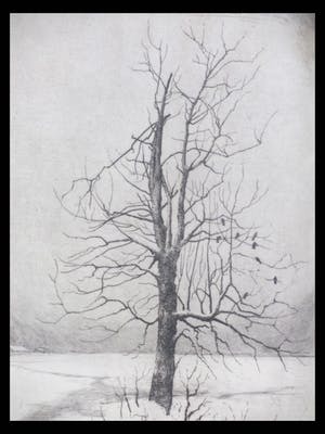 Hans van Dokkum - Besneeuwd landschap met vogels in dode boom - Ets kopen? Bied vanaf 35!