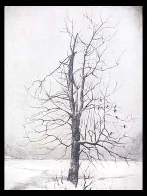 Hans van Dokkum - Besneeuwd landschap met vogels in dode boom - Ets verkocht voor € 35!