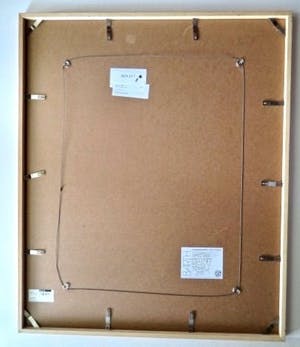 Jan van Delft - Morning Glory - Groot - Nieuwstaat - Houten Barth-lijst - Nieuwwaarde €710,- kopen? Bied vanaf 1!