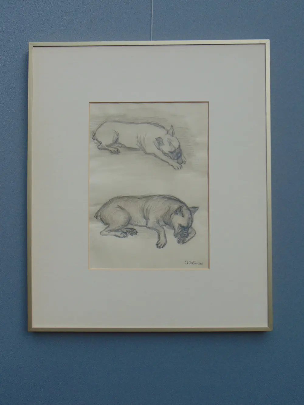 Claartje Mermans-Zoetmulder