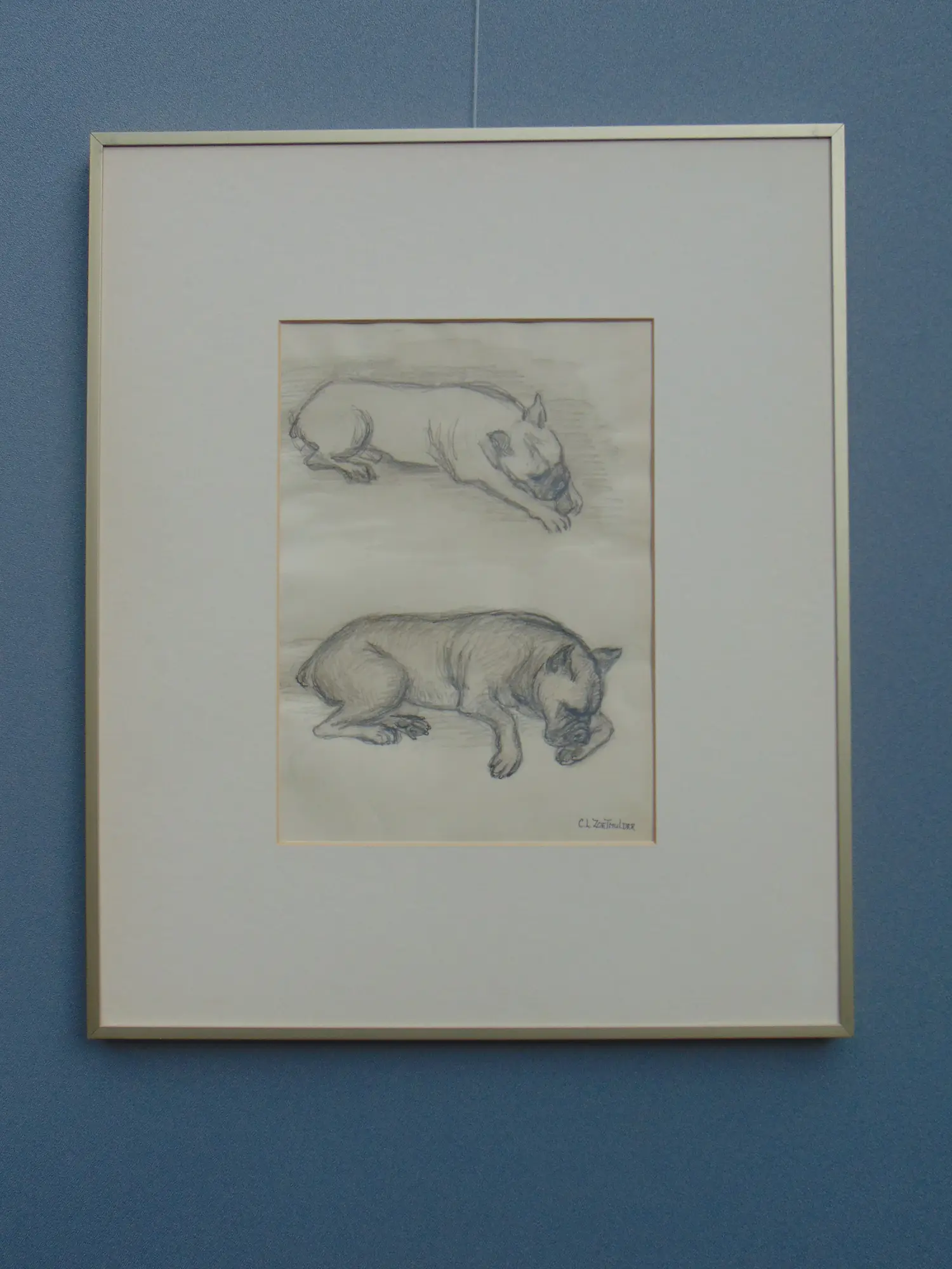 Claartje Mermans-Zoetmulder