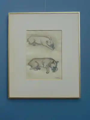 AcheterClaartje Mermans-Zoetmulder - Slapende honden? Enchérissez de 55!