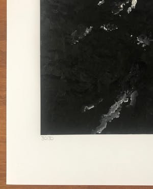 Armando - Giclée in zwart wit - 'Landscape' - 2016 - 30/30 - Gesigneerd kopen? Bied vanaf 125!