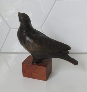 Niet of onleesbaar gesigneerd - Plastiek van een bronzen Duif op teakhouten sokkel kopen? Bied vanaf 10!