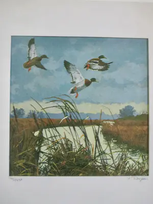 Niet of onleesbaar gesigneerd - 19 diverse vogelvoorstellingen kopen? Bied vanaf 1!