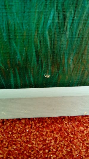 Jan van Wel - Hollandsch Landschap - Olieverf op doek - gesigneerd l.o. '74 - BKR Rotterdam kopen? Bied vanaf 10!