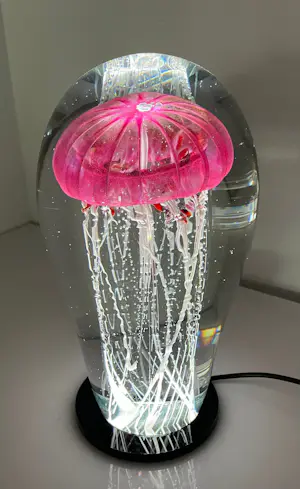 Petr Kuchta - “ Jellyfish “ kopen? Bied vanaf 290!