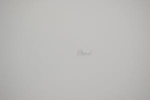 Roger Wittevrongel - Het Touw kopen? Bied vanaf 100!