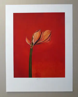 Bruno Bruni - " Amarillis " - kleurengiclee - handgesigneerd kopen? Bied vanaf 59!