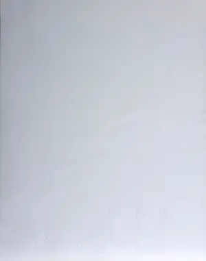 Panamarenko - Knikkebeen - gesigneerde kleurendruk met diepdruk kopen? Bied vanaf 1000!