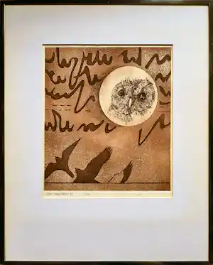 Peter Langenberg - ets/aquatint - Uil 5/20 - INGELIJST - 23748 verkauft für € 55!