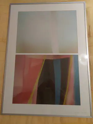 Wies Noest - Vledder kopen? Bied vanaf 40!