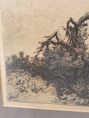 Jan Coenraad Nachenius - De Boom kopen? Bied vanaf 75!