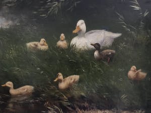 Constant Artz - Eendjes in het water kopen? Bied vanaf 2500!