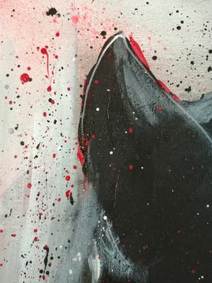 Niet of onleesbaar gesigneerd - Zwarte Panter kopen? Bied vanaf 1!